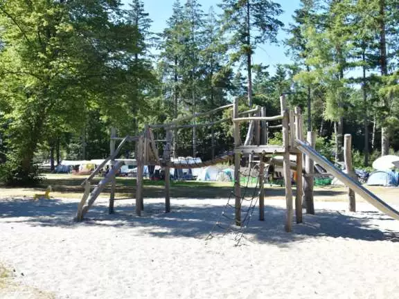 Camping Ommen kampeerplaats honden toegestaan Ommerhout 8