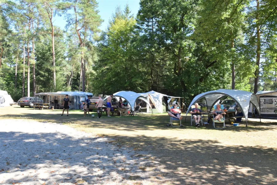Camping Ommen kampeerplaats honden toegestaan Ommerhout 4