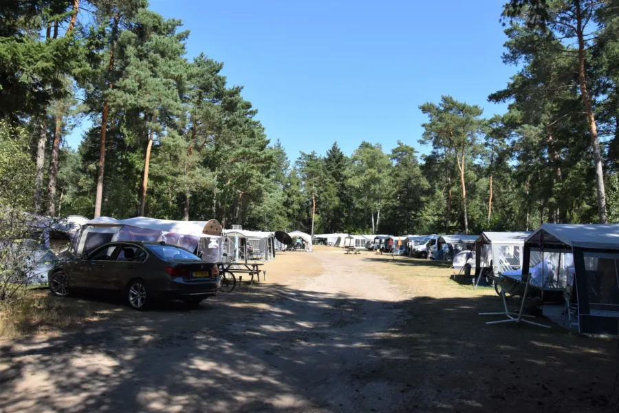 Camping Ommen comfort kampeerplaats Ommerhout 1