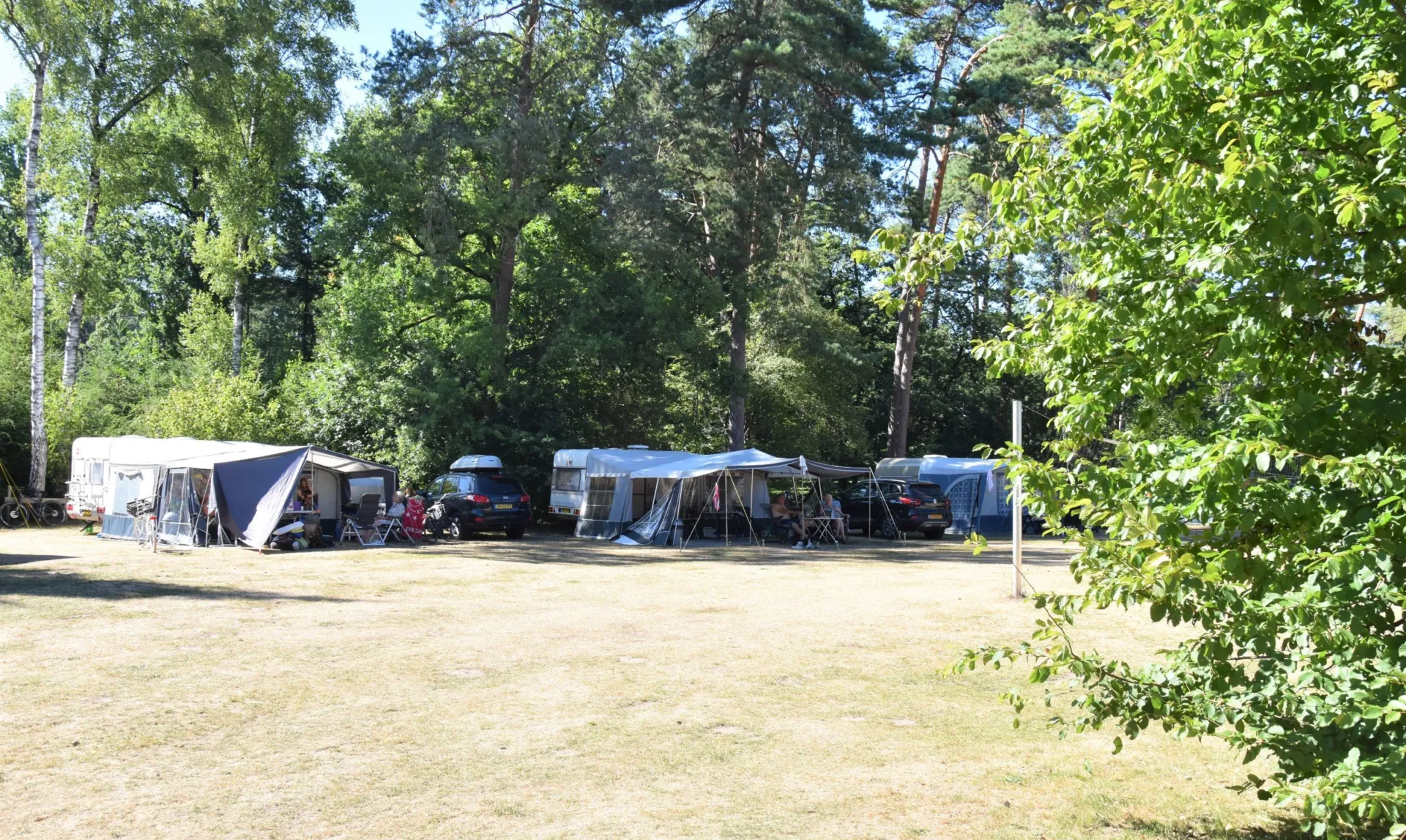 Camping Ommen kampeerplaats honden toegestaan Ommervallei 5