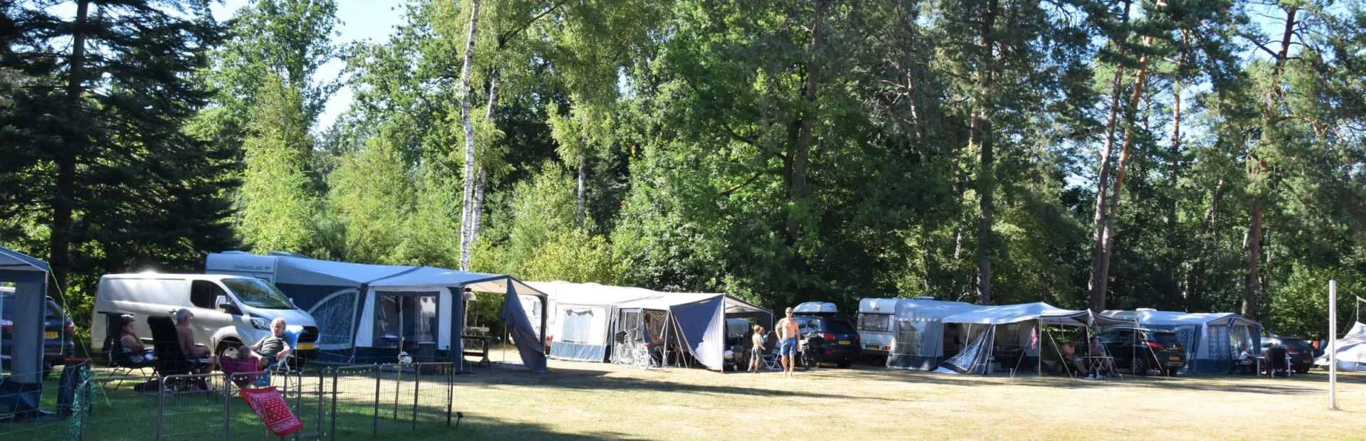 Camping Ommen kampeerplaats honden toegestaan Ommervallei 3
