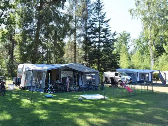 Camping Ommen kampeerplaats honden toegestaan Ommervallei 2