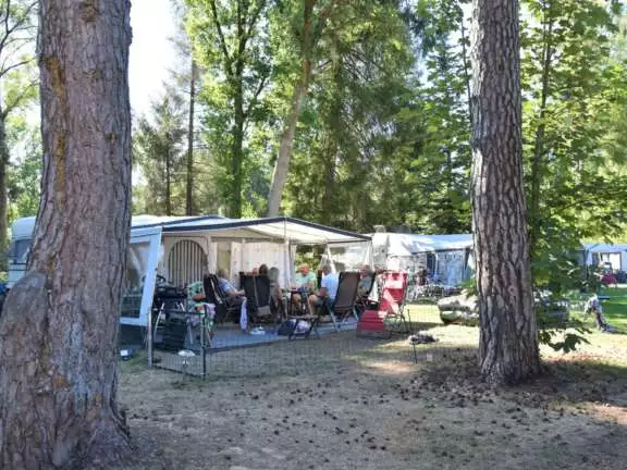 Camping Ommen kampeerplaats honden toegestaan Ommervallei 4