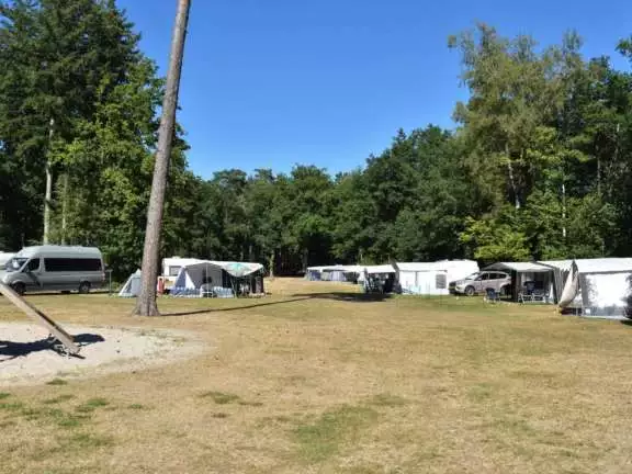 Camping Ommen kampeerplaats honden toegestaan Ommervallei 9