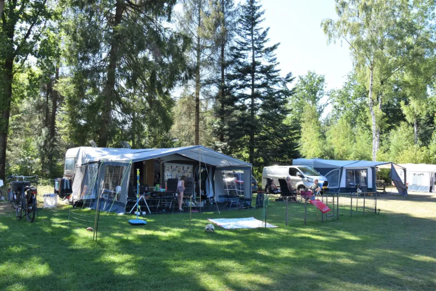 Camping Ommen kampeerplaats honden toegestaan Ommervallei 2