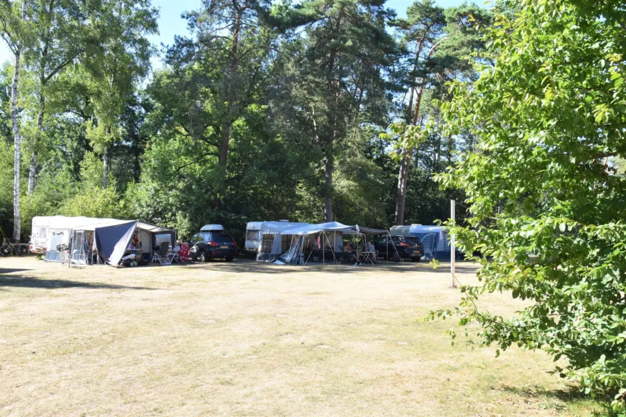 Camping Ommen kampeerplaats honden toegestaan Ommervallei 5