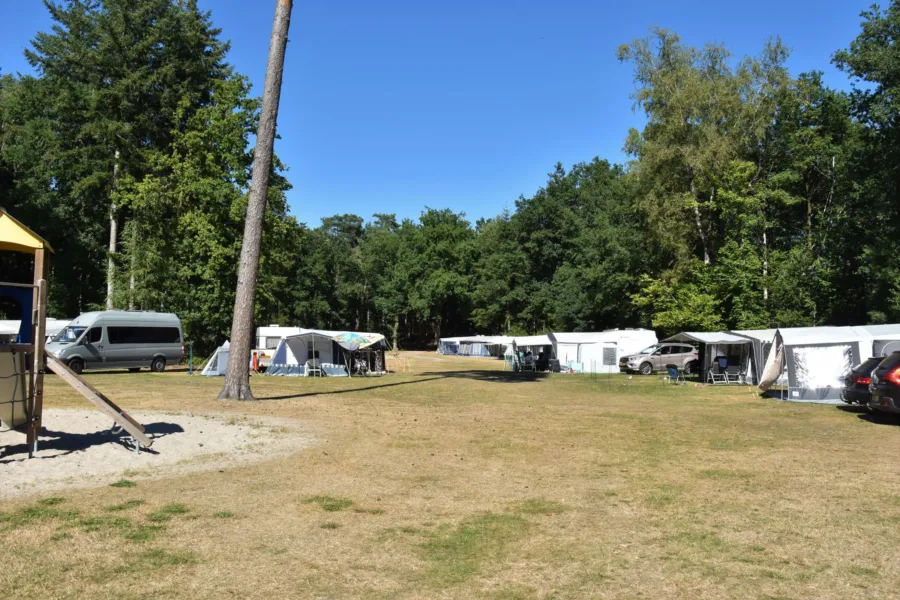 Camping Ommen kampeerplaats honden toegestaan Ommervallei 9