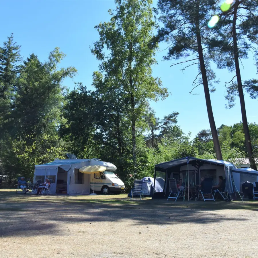 Camping Ommen kampeerplaats honden toegestaan Ommervallei 13