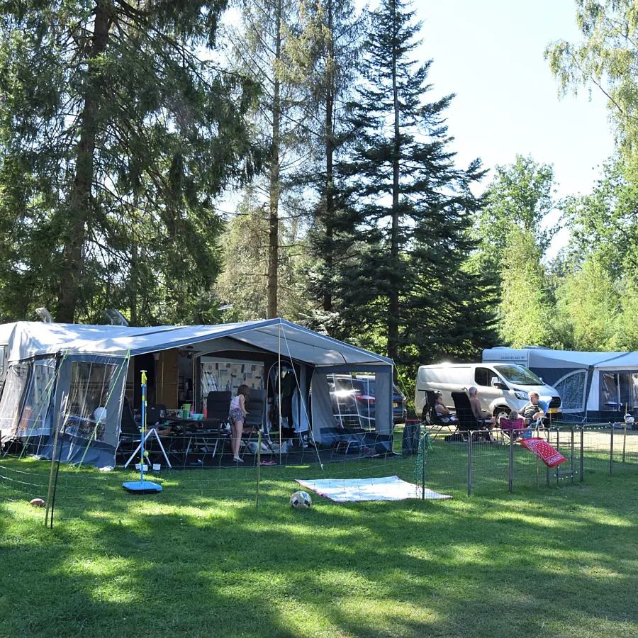 Camping Ommen kampeerplaats honden toegestaan Ommervallei 2