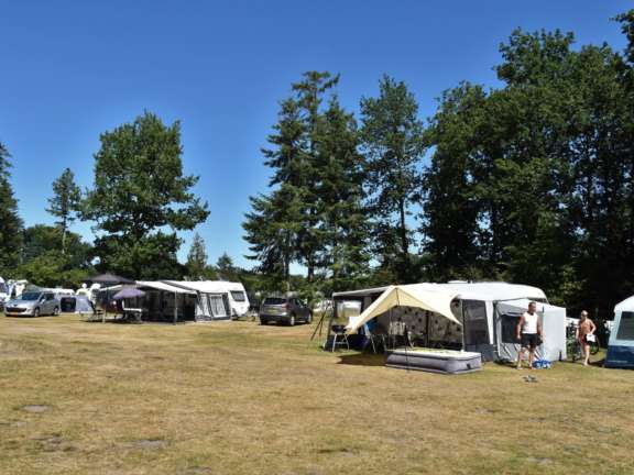 Camping Ommen comfort kampeerplaats Ommergras 32