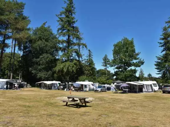 Camping Ommen comfort kampeerplaats Ommergras 33