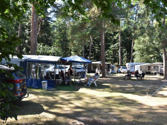 Camping Ommen kampeerplaats Ommerberg 2