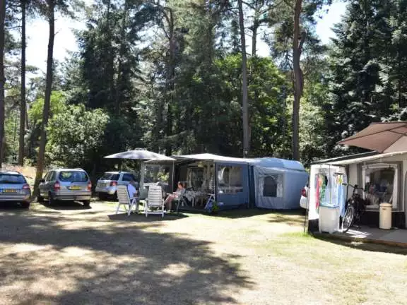 Camping Ommen kampeerplaats Ommerberg 5