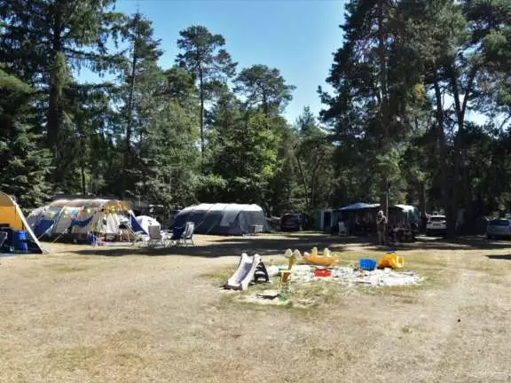 Camping Ommen kampeerplaats Ommerberg 6