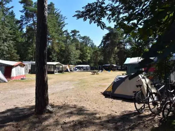 Camping Ommen kampeerplaats Ommerberg 7
