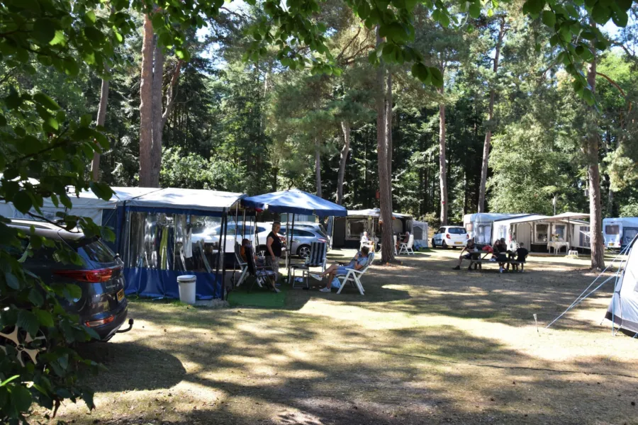 Camping Ommen kampeerplaats Ommerberg 2