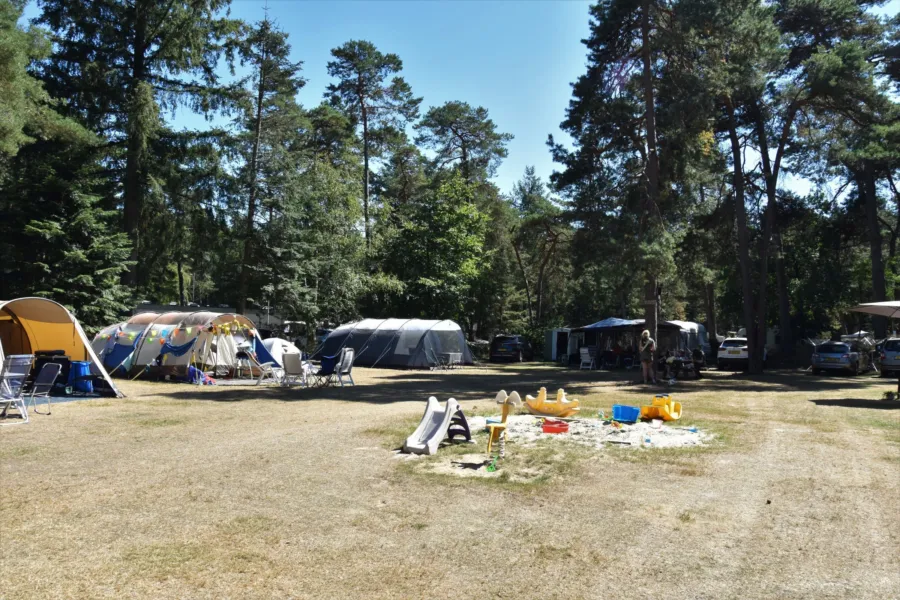 Camping Ommen kampeerplaats Ommerberg 6