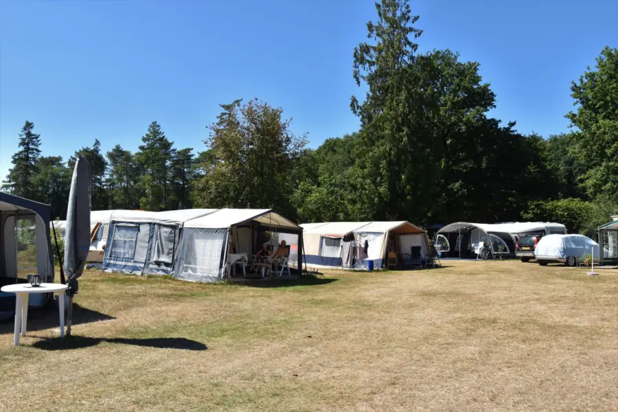 Camping Ommen kampeerplaats Ommergras 13