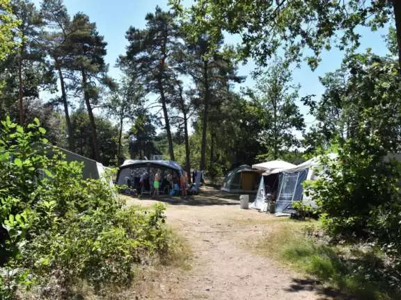 Camping Ommen kampeerplaats Ommerhei 4