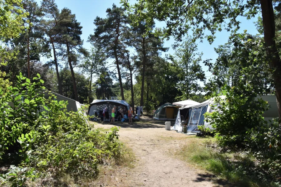 Camping Ommen kampeerplaats Ommerhei 4