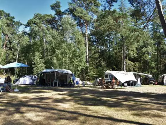 Camping met hond kampeerplaats Ommerbos 4