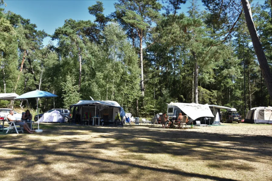 Camping met hond kampeerplaats Ommerbos 4
