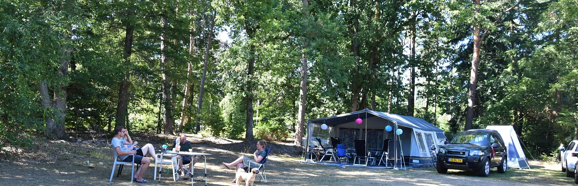 Camping met hond kampeerplaats Ommerhout 1