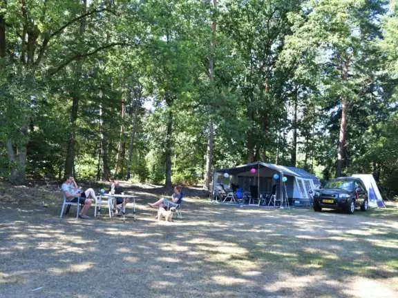 Camping met hond kampeerplaats Ommerhout 1