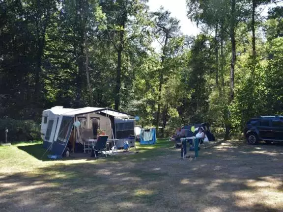 Camping met hond kampeerplaats Ommerhout 3