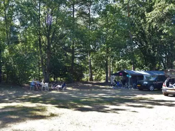 Camping met hond kampeerplaats Ommerhout 4