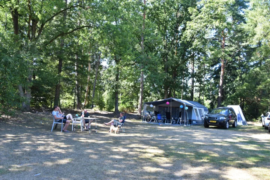 Camping met hond kampeerplaats Ommerhout 1