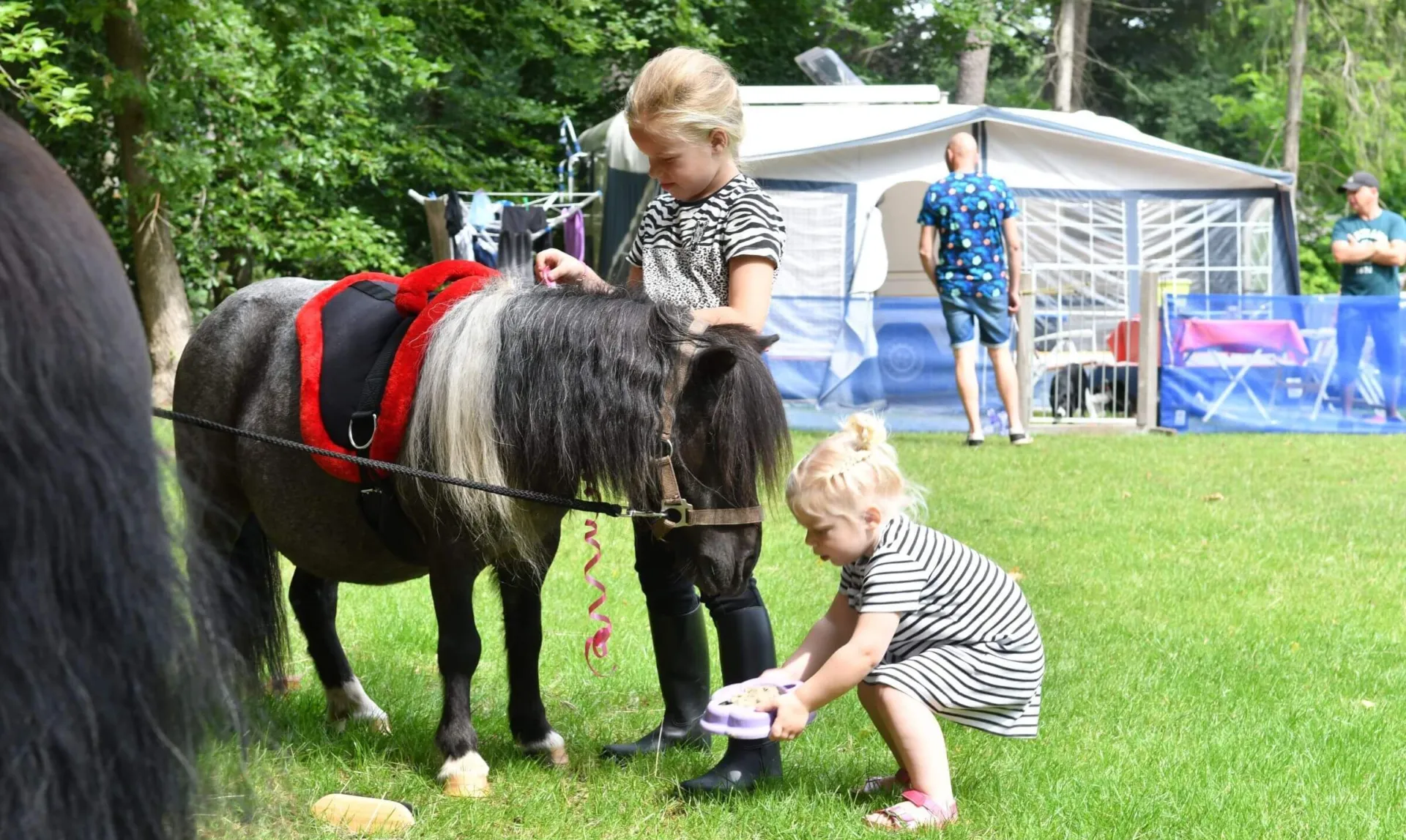 Camping met ponyrijden pony kampeerplaasts 2