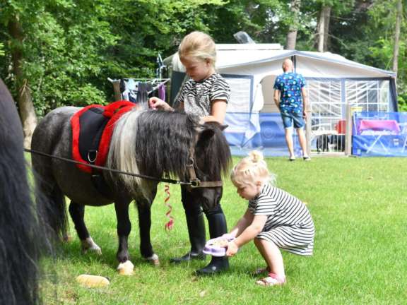 Camping met ponyrijden pony kampeerplaasts 2