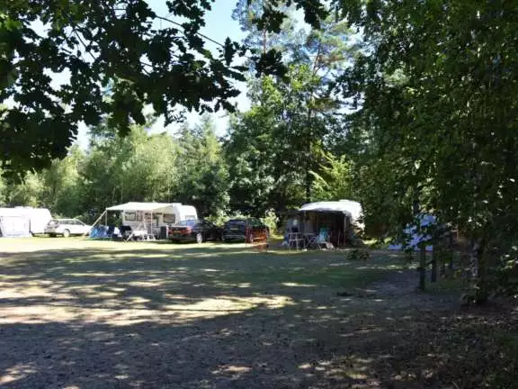 Camping met ponyrijden pony kampeerplaasts 7