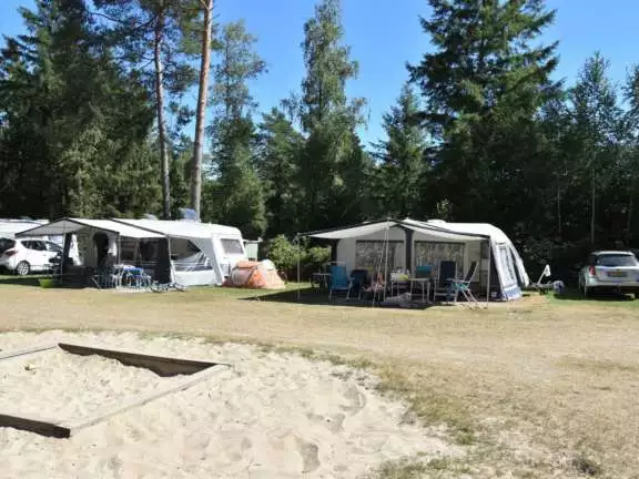 Camping met ponyrijden pony kampeerplaasts 8