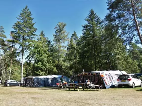 Camping met ponyrijden pony kampeerplaasts 9