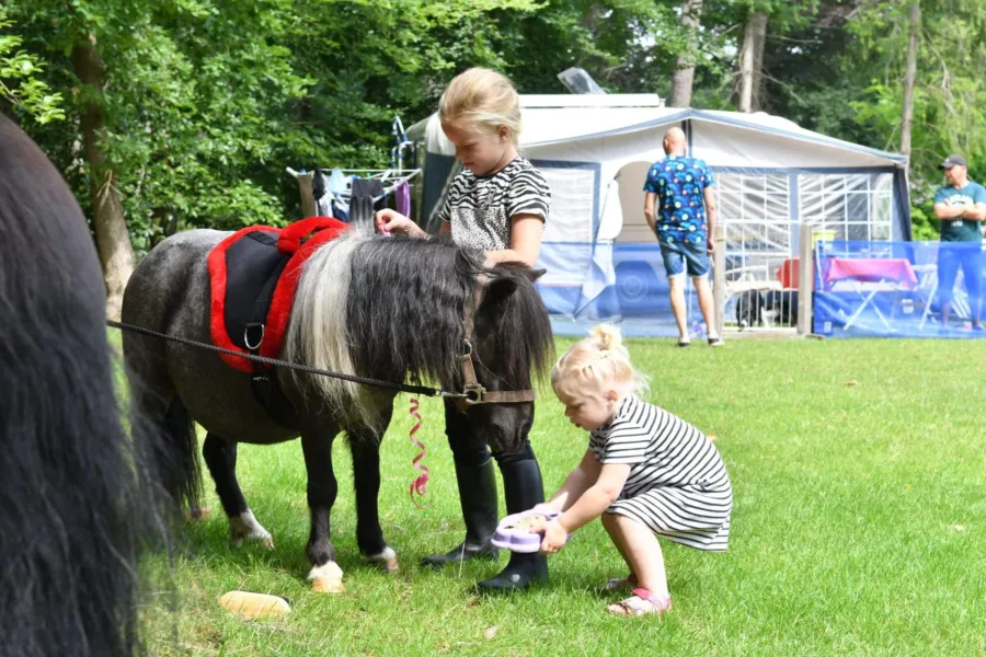 Camping met ponyrijden pony kampeerplaasts 2