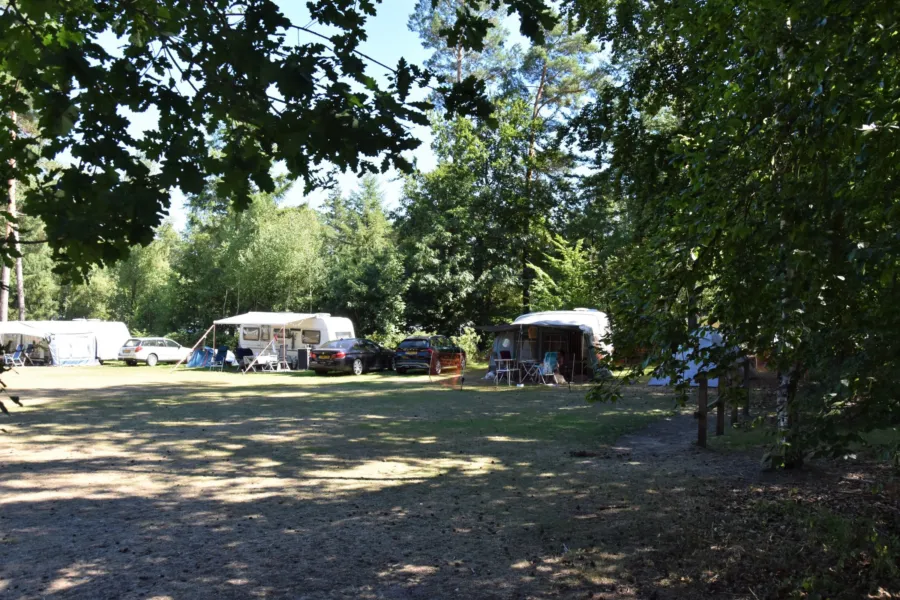 Camping met ponyrijden pony kampeerplaasts 7