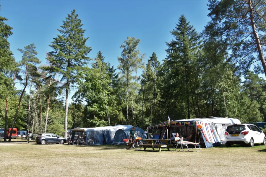 Camping met ponyrijden pony kampeerplaasts 9