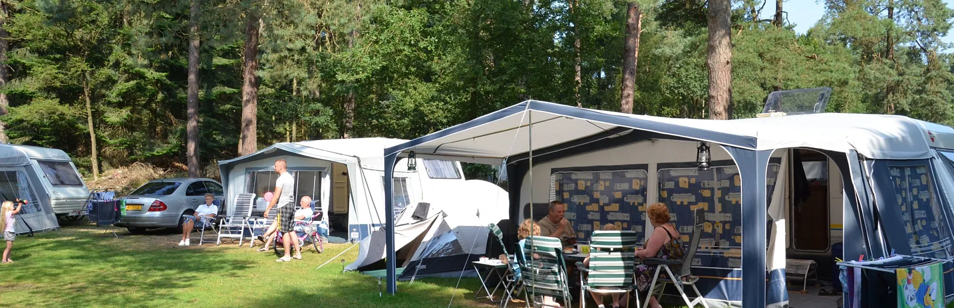 Camping Ommen met hond Ommerland 8