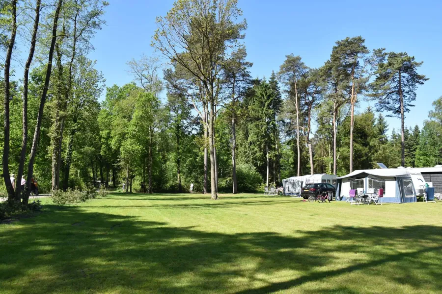 Camping Ommen met hond Ommerland 18