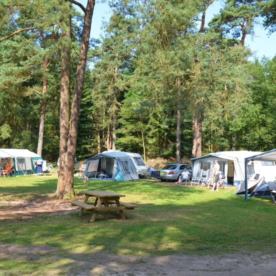 Camping Ommen met hond Ommerland 9