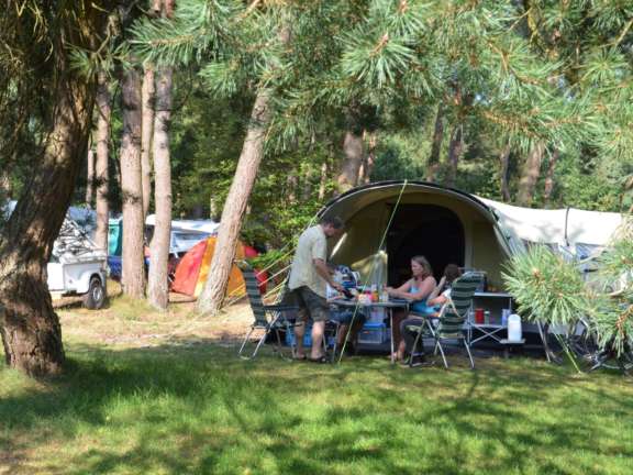 Kamperen in het bos camping ommerland 8