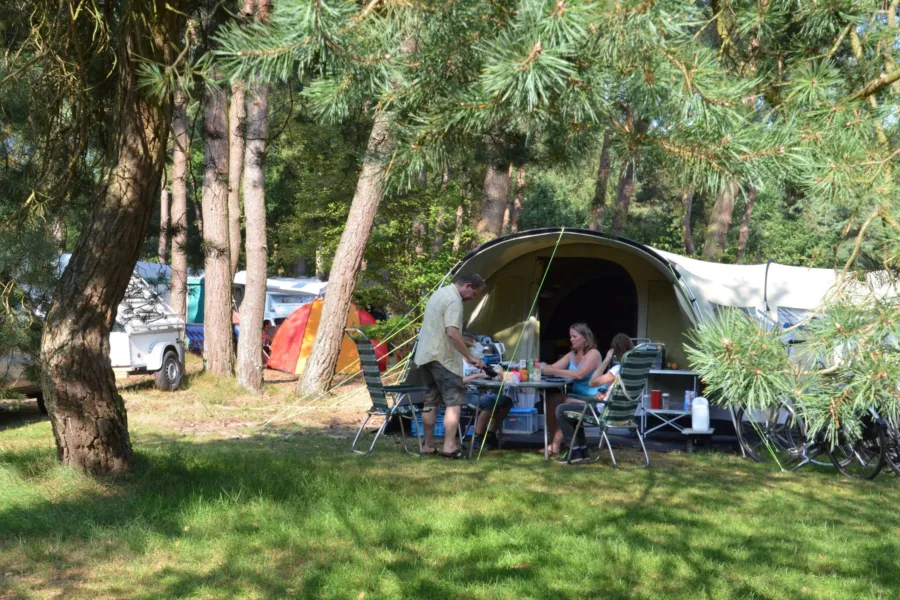 Kamperen in het bos camping ommerland 8