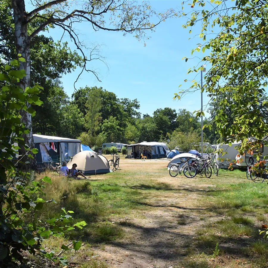 Camping Ommen met zwembaden 5