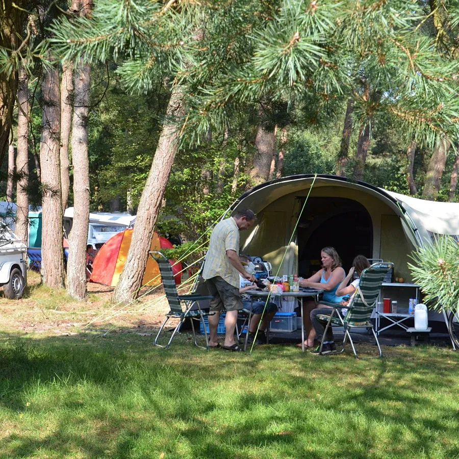 Kamperen in het bos camping ommerland 8