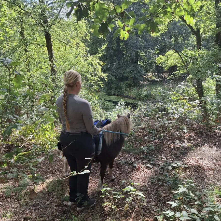 Pony trektocht Ommen 7