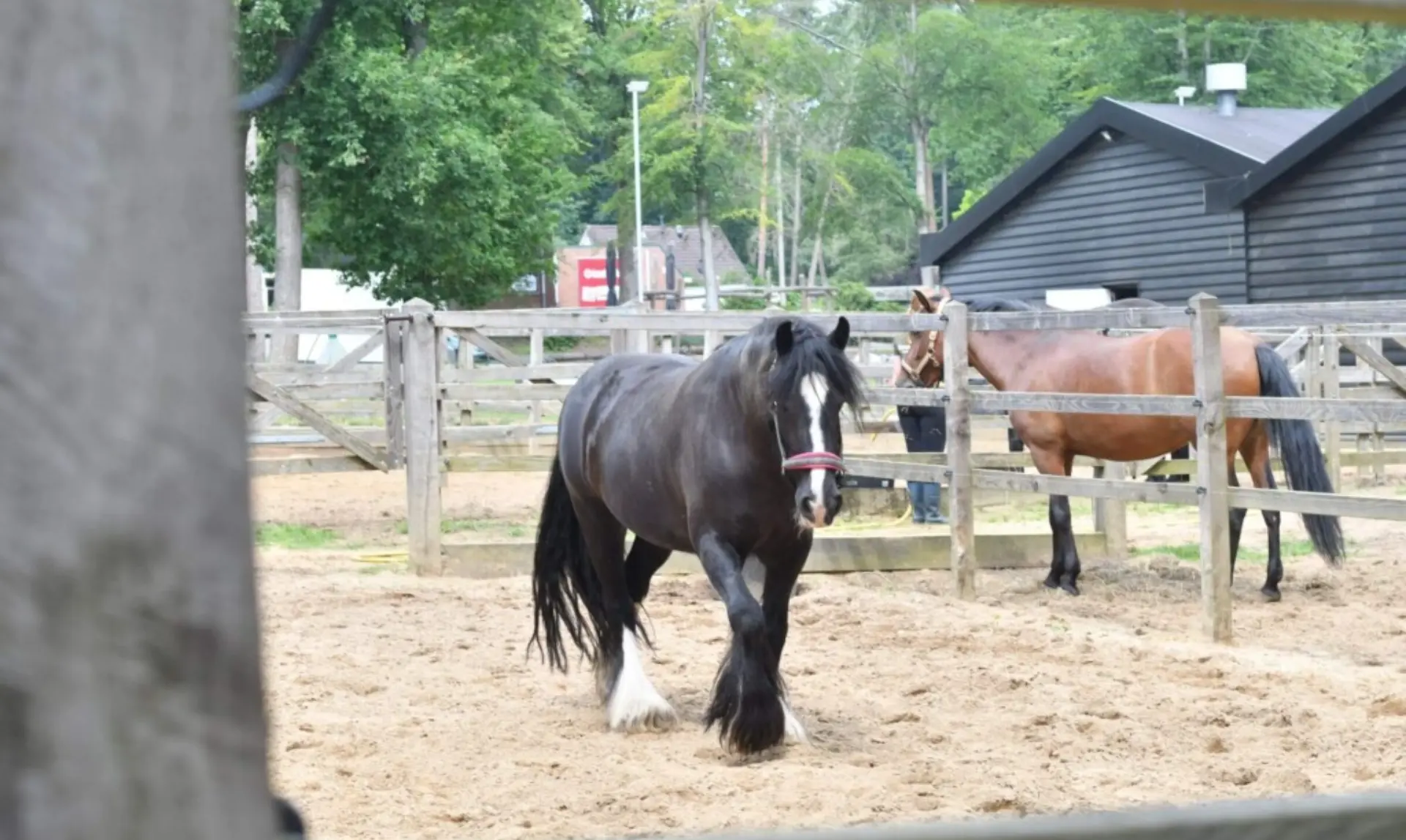 Camping met paardenstalling en paddocks 1024x683