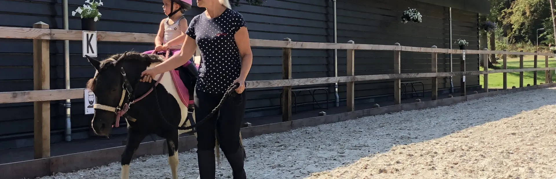 Camping met paarden manege ommen 14