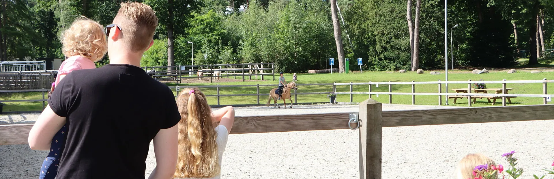 Camping met ponyrijden Ommen 8